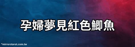 夢到好多魚|夢見捉魚、抓魚、捕魚